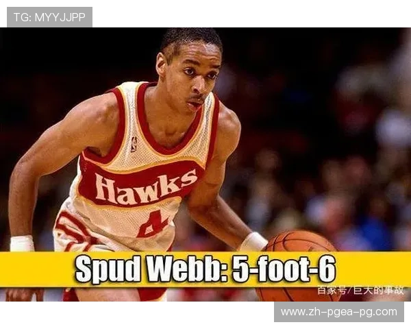最强NBA韦伯:韦伯在NBA历史中的地位与影响力 最强NBA韦伯:韦伯在NBA历史中的地位与影响力