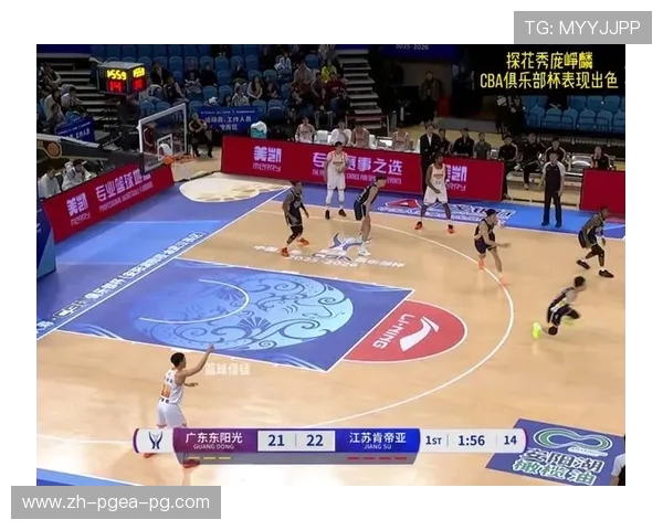 广西为何缺少CBA球队？区域体育发展瓶颈探讨