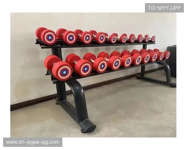 陕西健身器材：陕西省本地健身器材生产厂家与销售渠道